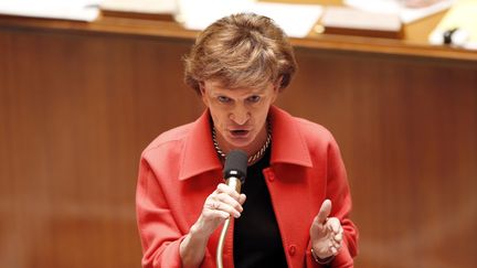 La ministre d&eacute;l&eacute;gu&eacute;e aux Personnes &acirc;g&eacute;es, Mich&egrave;le Delaunay, &agrave; l'Assembl&eacute;e nationale &agrave; Paris, le 13 f&eacute;vrier 2013. (FRANCOIS GUILLOT / AFP)