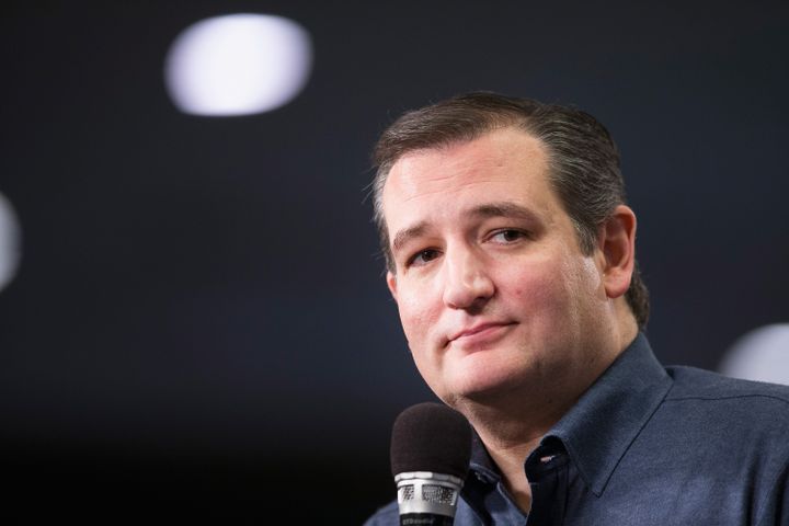 Le sénateur Ted Cruz, candidat à la primaire républicaine, lors d'un meeting à Myrtle Beach (Etats-Unis), le 16 janvier 2016. (SCOTT OLSON / GETTY IMAGES NORTH AMERICA / AFP)