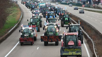 Une manifestation d'agriculteurs avec des tracteurs sur l'A35, près de Strasbourg, le 30 janvier 2024. (FREDERICK FLORIN / AFP)