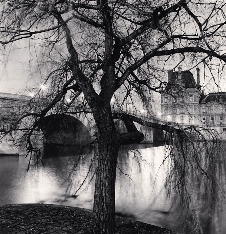 Michael Kenna, Tree, Pont Royal and Louvre, Paris, France, 2013
 (Michael Kenna)