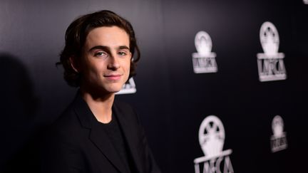 L'acteur Timothée Chalamet aux&nbsp;Los Angeles Film Critics Association Awards, en Californie (Etats-Unis), le 13 janvier 2018. (MATT WINKELMEYER / GETTY IMAGES NORTH AMERICA / AFP)