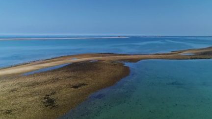 Bretagne : l'îlot Saint-Michel et le Sillon de Talbert, deux curiosités naturelles des Côtes-d'Armor (FRANCE 2)