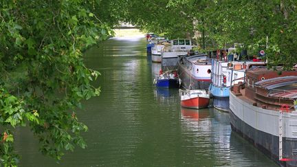 Le canal du Midi nettoyé de ses épaves