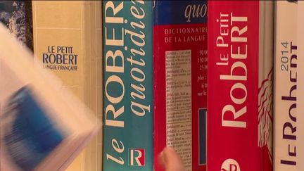 Larousse 2023 : 150 nouveaux mots ont intégré le dictionnaire