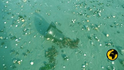 Un plot en plastique provenant d'une exploitation de moules de bouchot, dans la baie du Mont-Saint-Michel. (DR)