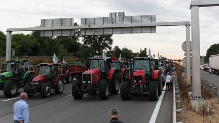 Des &eacute;leveurs protestent sur l'autoroute A6 &agrave; Lyon (Rh&ocirc;ne) le 22 juillet 2015. (RICHARD ORTIZ / CITIZENSIDE.COM / AFP)