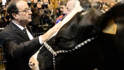 Fran&ccedil;ois Hollande au Salon de l'agriculture &agrave; Paris, le 21 f&eacute;vrier 2015. (STEPHANE DE SAKUTIN / AFP)