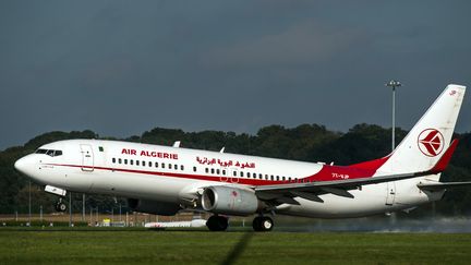 Boeing 737 d'Air Algérie, le 11 octobre 2014 à Lille (France).&nbsp; (PHILIPPE HUGUEN / AFP)