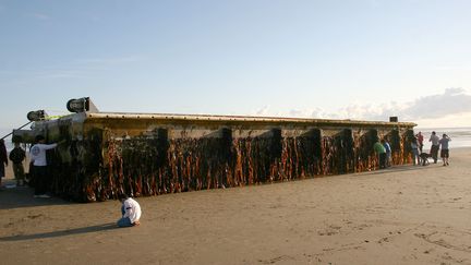 Un ponton flottant de 20 m&egrave;tres de long s'est &eacute;chou&eacute; le 5 juin 2012 sur Agate Beach, une plage de l'Oregon (Etats-Unis), apr&egrave;s avoir d&eacute;riv&eacute; pendant 15 mois dans le Pacifique. (OREGON PARKS & RECREATION / AFP)