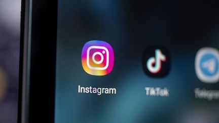 Les logos des applications Instagram et Tik Tok.&nbsp; (FABIAN SOMMER / DPA)