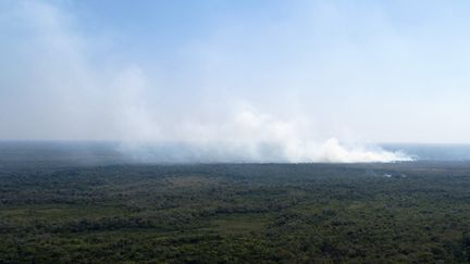 Un panache de fumée au-dessus de Pocone (Brésil), dans la région du Pantanal, le 1er août 2020. (ROGERIO FLORENTINO / AFP)