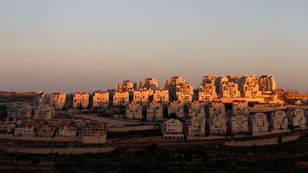 Des maisons de la colonie israélienne d'Efrat, le 7 février 2017, dans la bande de Gaza. (AMMAR AWAD / REUTERS)