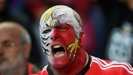 Un supporter du Benfica encourage son &eacute;quipe lors de la demi-finale de la coupe de l'UEFA face &agrave; la Juventus &agrave; Lisbonne (Portugal), le 24 avril 2014. (FRANCISCO LEONG / AFP)