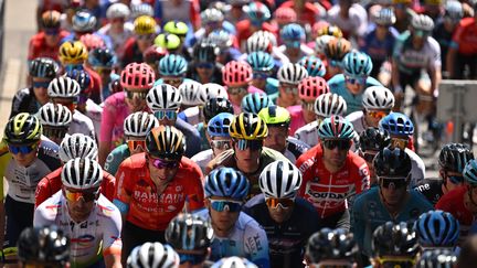 Le peloton du Tour de France lors de la 14e étape entre Saint-Etienne (Loire) et Mende (Lozère), le 16 juillet 2022. (MARCO BERTORELLO / AFP)