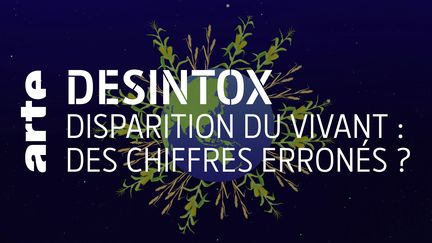 Désintox. Non, ce n'est pas 75 % de la diversité des plantes cultivées qui a disparu (ARTE/2P2L)