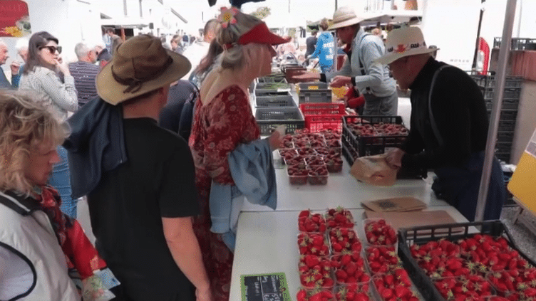 Pouvoir d'achat : les fruits et légumes résistent à l'inflation