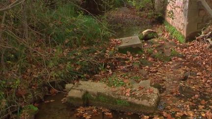 Chaleur automnale : des nappes phréatiques basses partout en France