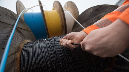 Un technicien installe&nbsp;la fibre optique, le 12 janvier 2018, à&nbsp;Buchen, en Allemagne. (MARIJAN MURAT / DPA)