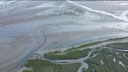 Picardie : la Baie de Somme, terre de tranquillité