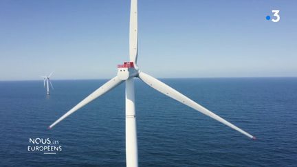 VIDEO. Energie éolienne : "Les bons jours, 100% de l’électricité en Ecosse est générée par le vent"