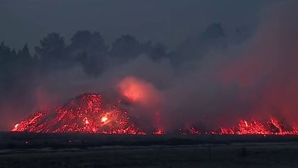 Dans le secteur de Saumos, en Gironde, les flammes ont ravagé plus de 3 000 hectares de végétation, mardi 13 septembre. Des habitations ont également été détruites, et plus de 800 personnes ont dû être évacuées. (FRANCEINFO)