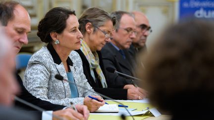 La ministre de l'Ecologie, S&eacute;gol&egrave;ne Royal, le 4 novembre 2014 au minist&egrave;re de l'Ecologie. (ERIC FEFERBERG / AFP)