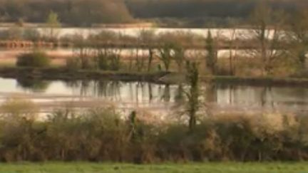 La Brenne, le "pays des 1 000 étangs", est une réserve naturelle couverte d'eau et de prairies. Elle est située dans l'Indre. (FRANCE 3)