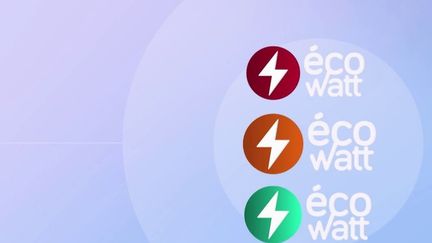 Énergie : la météo se met au vert avec les indicateurs ÉcoWatt (FRANCE 2)