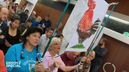 Envoyé spécial. Défense de la ruralité : quand la justice autorise le coq Maurice à chanter le matin