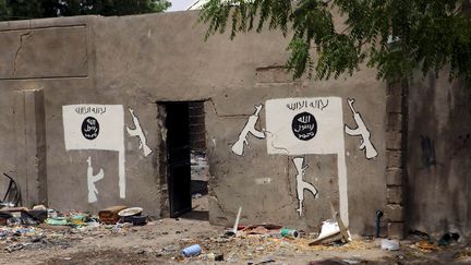 Boko Haram : des centaines d'otages libérés au Nigeria