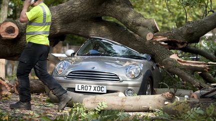 Si cet arbre tomb&eacute; sur une voiture &agrave; Londres n'a pas fait de victimes,&nbsp;une adolescente de 17 ans a eu moins de chance dans le Kent. Elle a &eacute;t&eacute; tu&eacute;e par la chute d'un arbre sur son domicile situ&eacute; dans le sud-est de Londres. Un quinquag&eacute;naire est mort dans des circonstances similaires alors qu'il circulait en voiture dans la ville de Watford, au nord de la capitale. (DANIEL SORABJI / AFP)