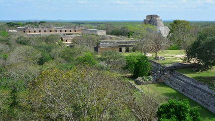 Une ancienne cité maya, dans le Yutacan, au Mexique, le 3 avril 2016.&nbsp; (ANTOINE LORGNIER / ONLY WORLD / AFP)