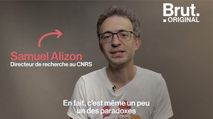 Samuel Alizon, directeur de recherche au CNRS, répond aux questions.