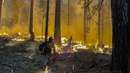 Un pompier dans le parc national de&nbsp;Yosemite, le 11 juillet 2022, en Californie.&nbsp; (HANDOUT / AFP)