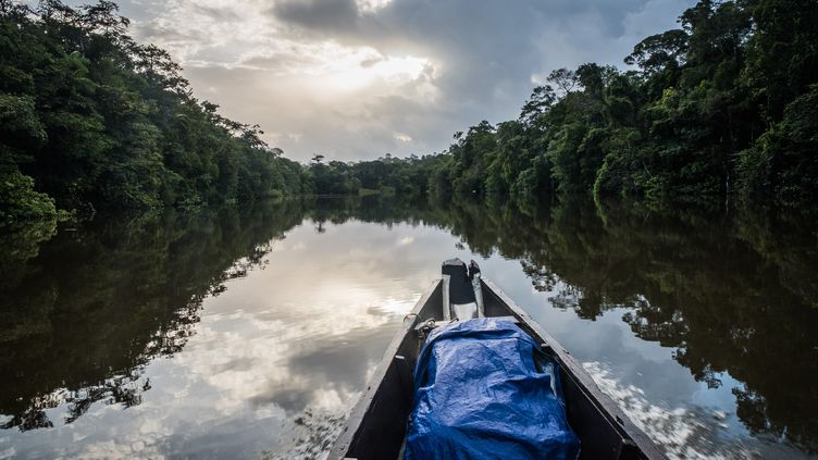 Pour un expérience scientifique, vingt volontaires s'embarquent pour un aventure de 40 jours en forêt guyanaise