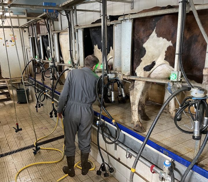 Adrien, agricuteur de 26 ans, dans une ferme bio en Meurthe-et-Moselle. (MANON MELLA / FRANCEINFO)