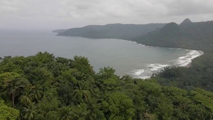 L'archipel de&nbsp;Sao Tomé-et-Principe, dans l'océan Atlantique, offre une jungle luxuriante et un espace préservé.&nbsp;&nbsp; (CAPTURE D'ÉCRAN FRANCE 2)