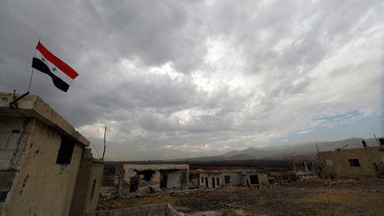 Un drapeau syrien sur le village de Beit Jann (Syrie) lors de l'évacuation de ses habitants, le 29 décembre 2017. (OMAR SANADIKI / REUTERS)