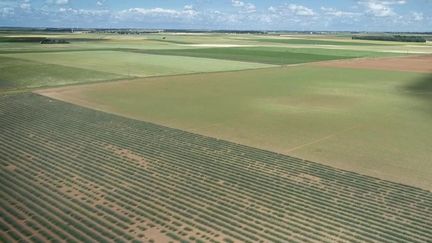 Colère des agriculteurs : la réduction des pesticides fait polémique (France 2)