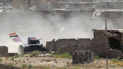 Lutte contre le terrorisme : Daech recule en Irak et en Syrie