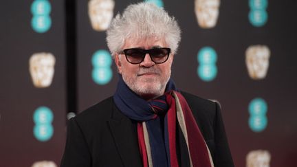 Festival de Cannes : Pedro Almodovar en lice pour remporter la Palme