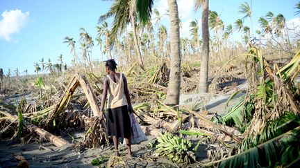 Une femme transporte quelques bananes qu'elle a trouvé après le passage du cyclone qui a ravagé le Vanuatu le 13 &nbsp;mars 2015. Les dégâts ont affecté plus de la la moitié de la population de l'archipel du Pacifique, Vanuatu le 21 mars 2015. (JEREMY PIPER / AFP)