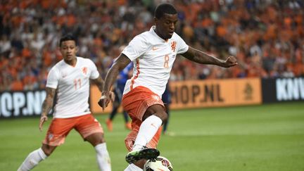 Georginio Wijnaldum, sous le maillot des Pays-Bas.  (JOHN THYS / AFP)