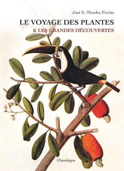 &nbsp; (Le voyage des plantes et les Grandes Découvertes, de José E. Mendes Ferrao aux Editions Chandeigne © Editions Chandeigne)