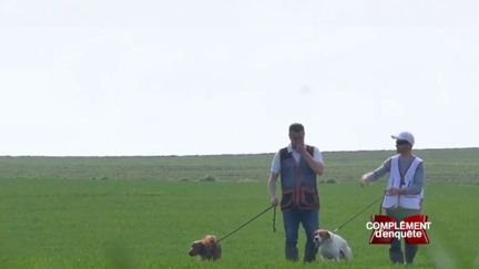 Coup de com des chasseurs : "Moi, si je suis un lapin, à la fin de leur clip, j'adhère à la Fédération..." (COMPLÉMENT D'ENQUÊTE/FRANCE 2)