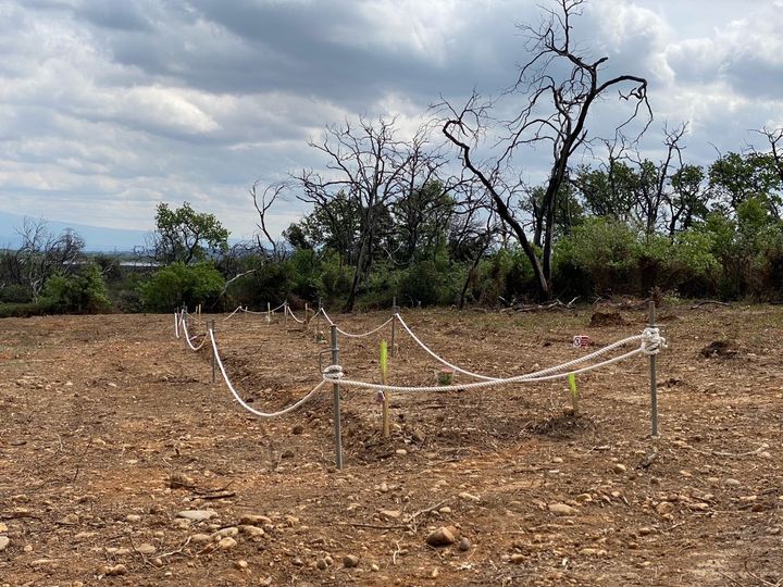 Les archéologues ont pu retrouver les restes de deux enfants dans le cimetière sauvage du camp de Saint-Maurice l’Ardoise, dans le Gard. (BORIS LOUMAGNE / FRANCE INFO)