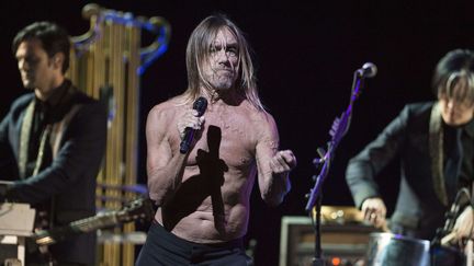 Iggy Pop sera au Parc de Saint-Cloud le 28 août
 (Erika Goldring/Shutters/SIPA)