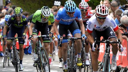 Alejandro Valverde, Bauke Mollema, Dan Martin, Jelle Vanendert et Michal Kwiatkowski seront tous prétendants à la victoire (ERIC LALMAND / BELGA)