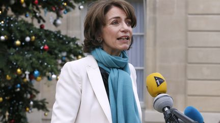 La ministre de la Sant&eacute;, Marisol Touraine, s'adresse &agrave; la presse, dans la cour de l'Elys&eacute;e, le 22 d&eacute;cembre 2014. (PATRICK KOVARIK / AFP)