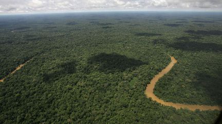 Vue a&eacute;rienne du parc de Yasuni, en Equateur, le 17 mai 2007. (DOLORES OCHOA / AP / SIPA)